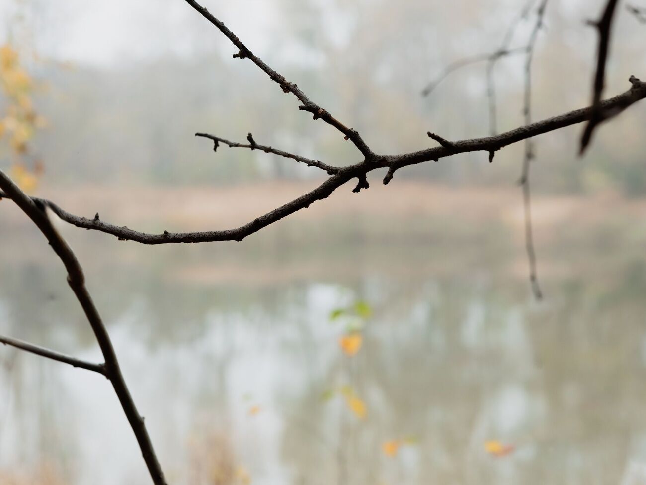Про зникнення дівчинки повідомили її родичі