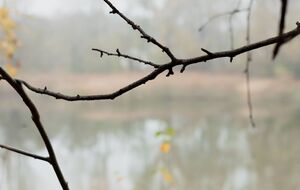 Про зникнення дівчинки повідомили її родичі