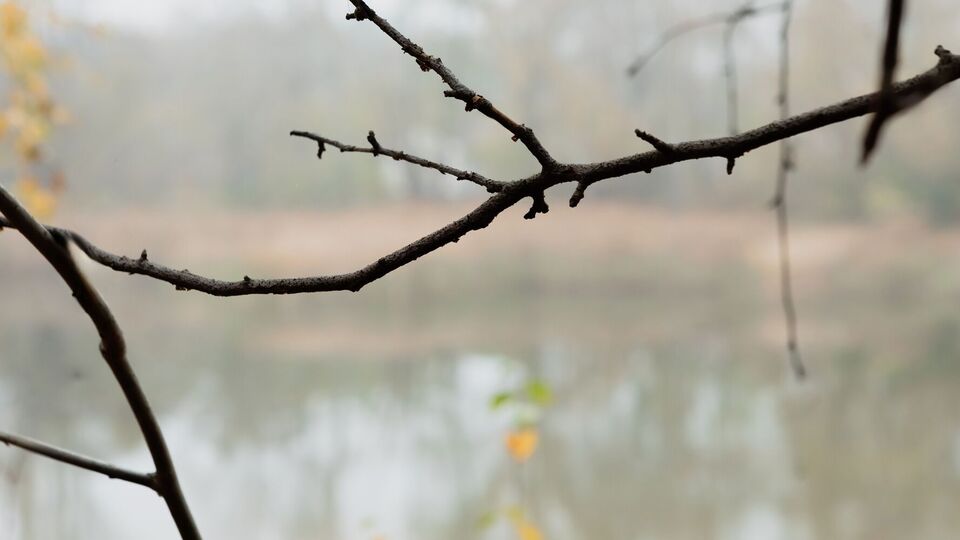 Об исчезновении девочки сообщили ее родственники