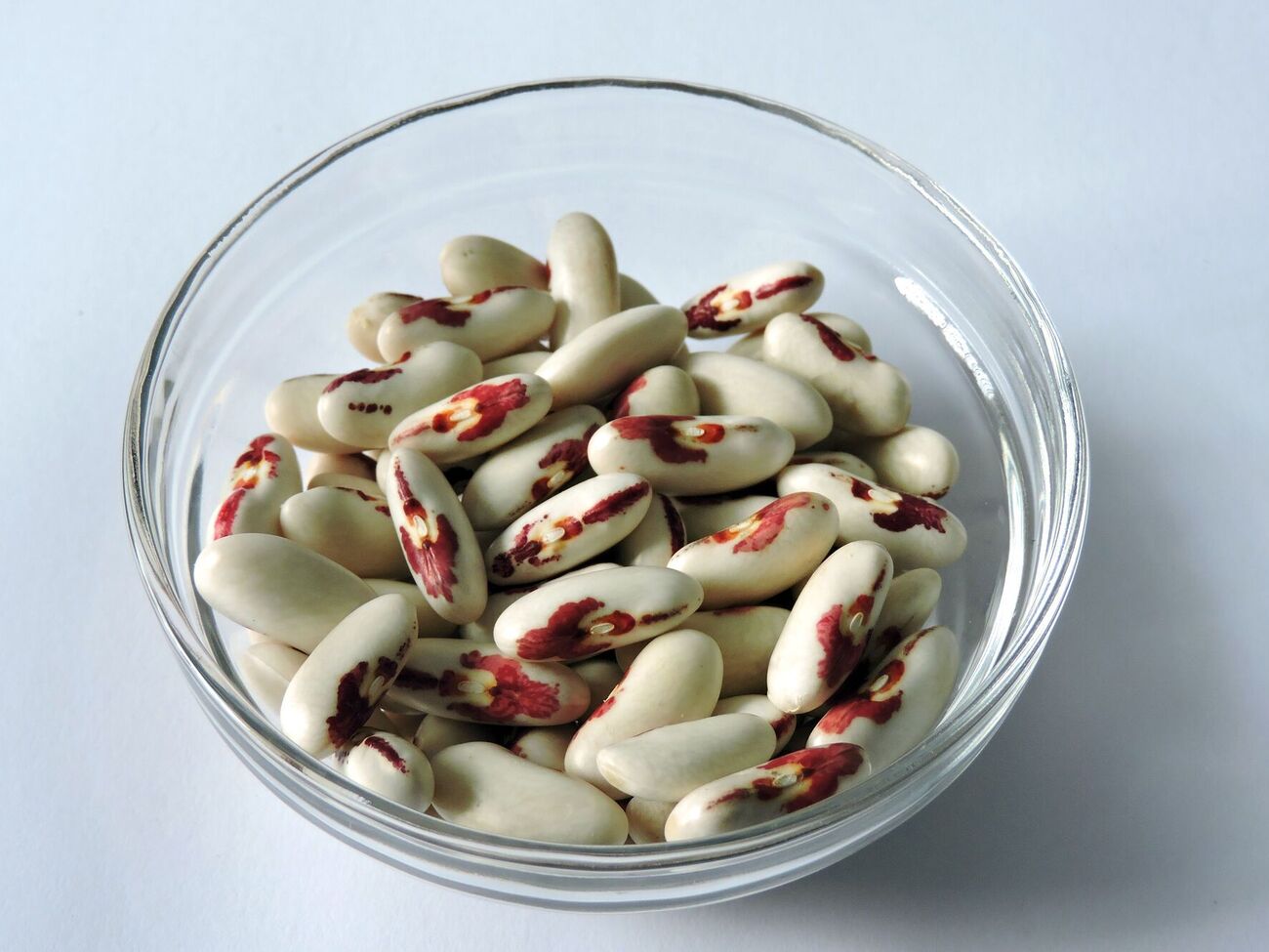 Если жуки уже завелись, заморозьте бобы на несколько суток в морозильной камере