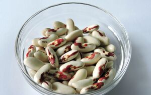 Если жуки уже завелись, заморозьте бобы на несколько суток в морозильной камере