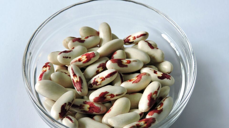 Если жуки уже завелись, заморозьте бобы на несколько суток в морозильной камере