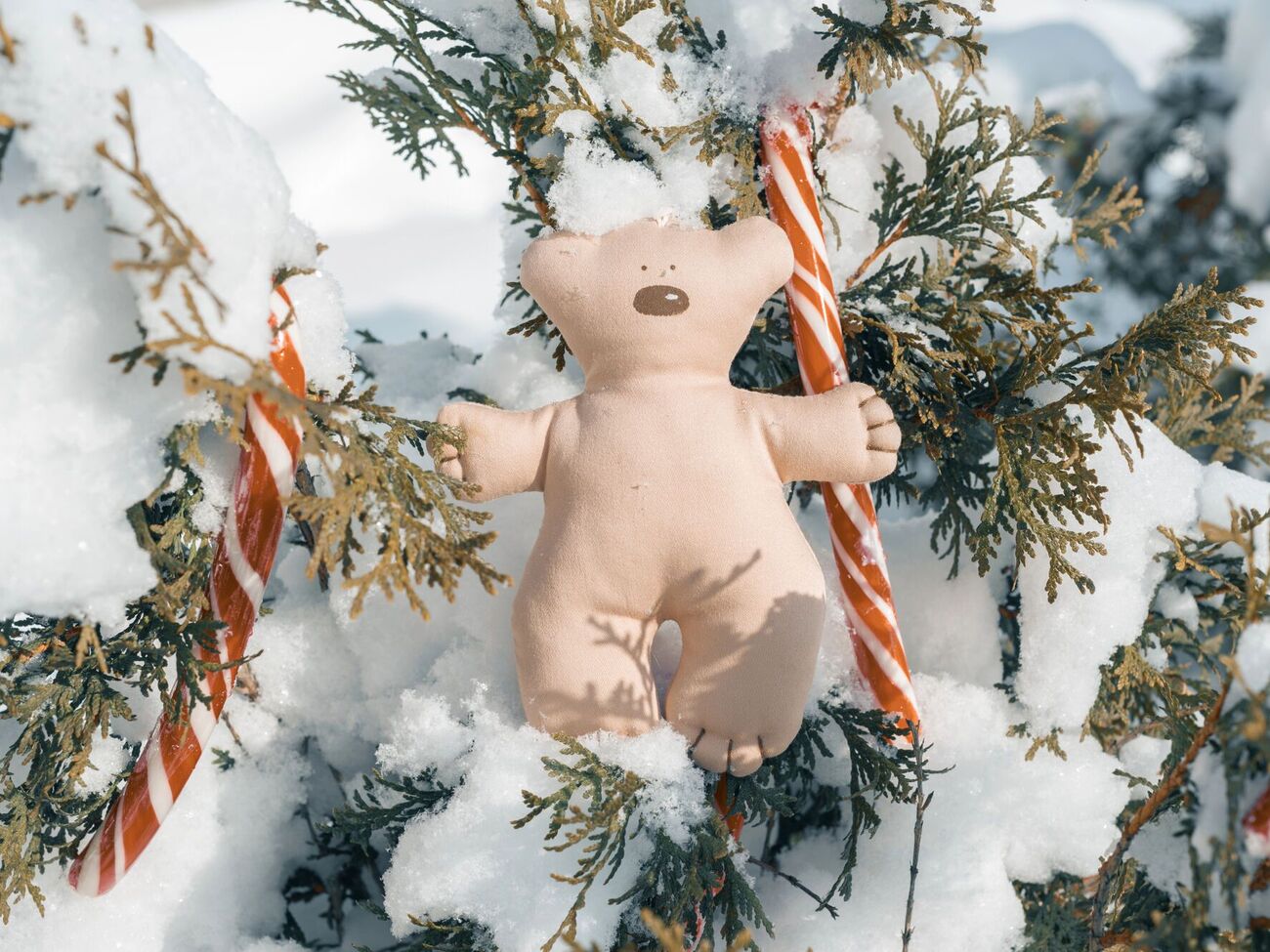 Тую у дворі можна прикрасити, не вирубаючи