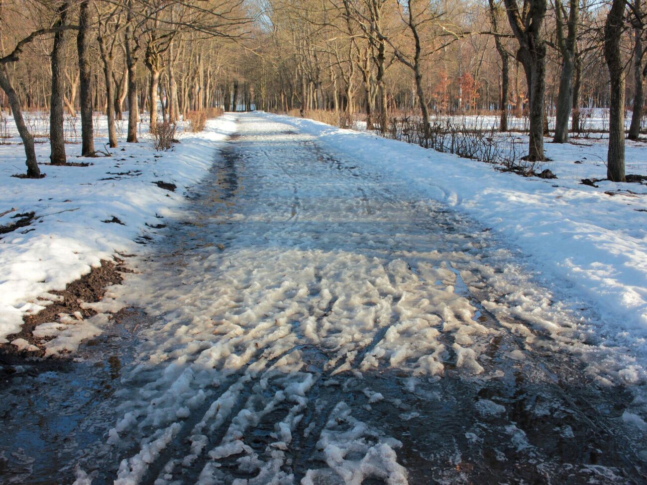 Країну накриє відлига, попередила Діденко