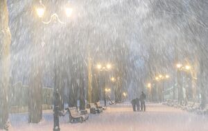 Синоптик предупредила о порывистом ветре и снеге