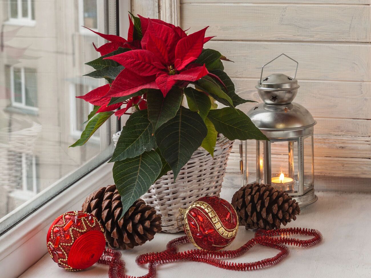 Декоративные фонарики на окнах создают атмосферу уюта