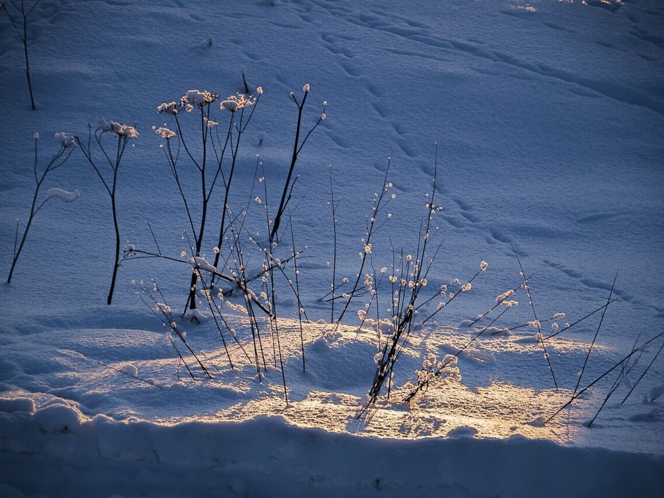 Синоптики рассказали, какой будет погода