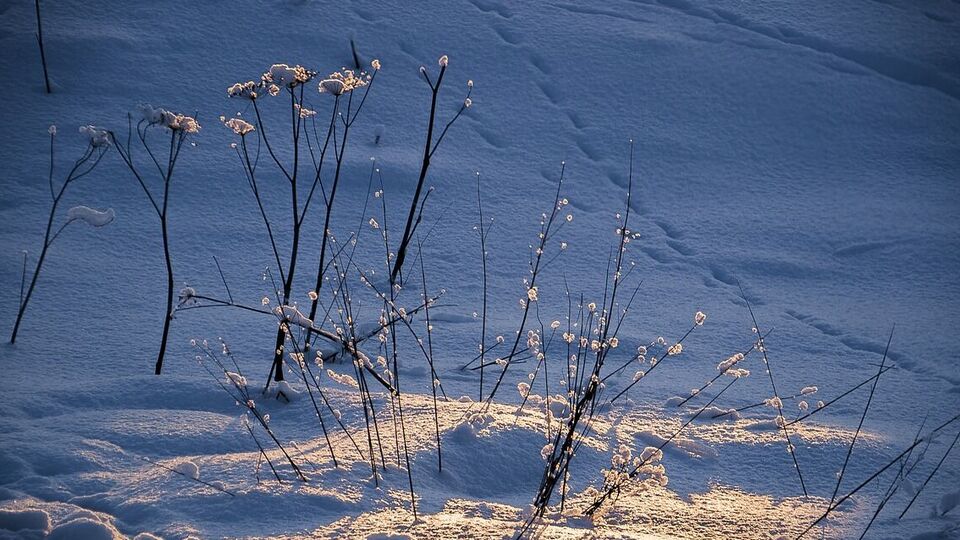 Синоптики рассказали, какой будет погода