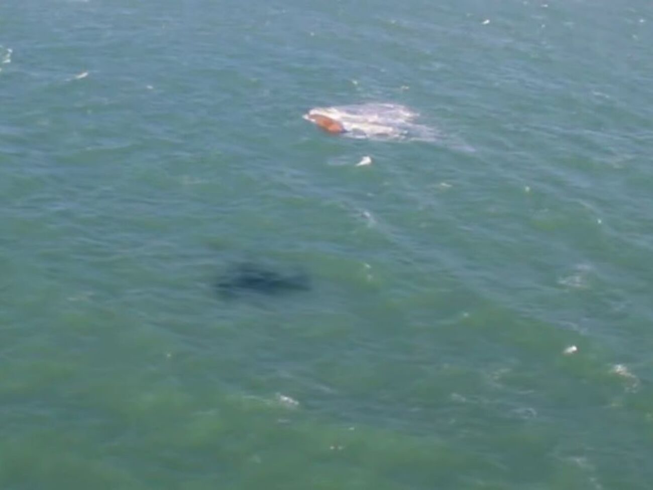 Мазут из танкеров осел на морском дне