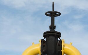 Народна депутатка Гриб закликала до детального обговорення тарифів на транспортування газу