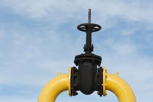 Народный депутат Гриб призвала к детальному обсуждению тарифов на транспортировку газа