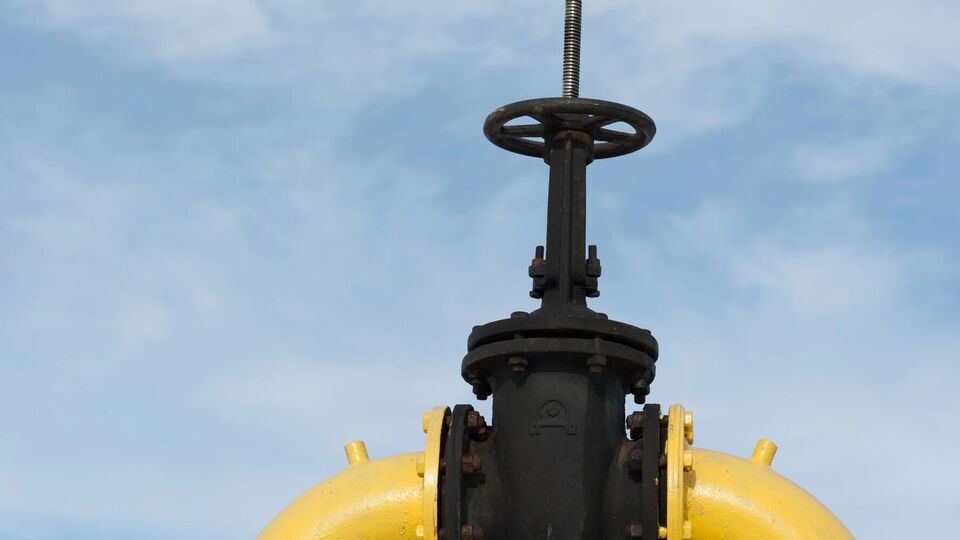 Народный депутат Гриб призвала к детальному обсуждению тарифов на транспортировку газа