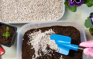 Грунтовая смесь не содержит настоящей почвы