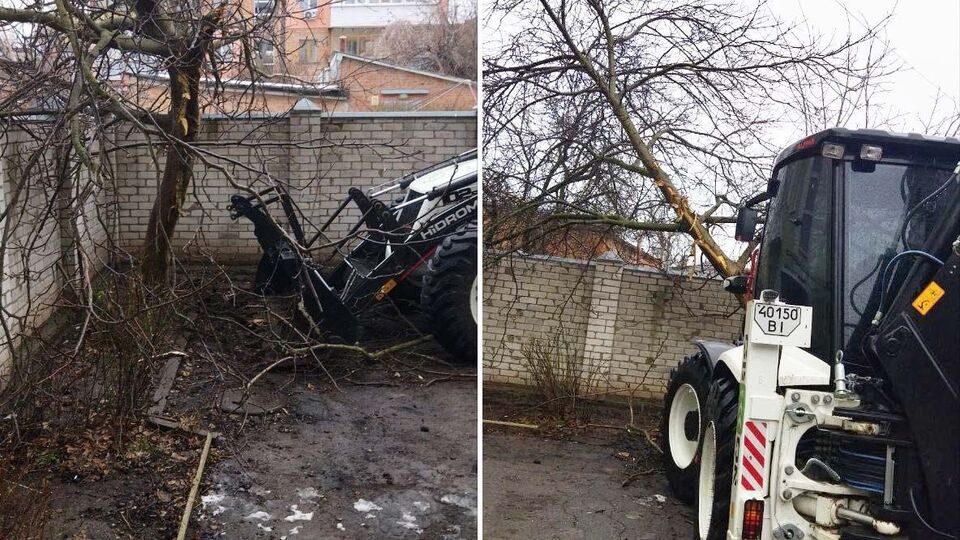 За версією місцевих, посадовець намагався звалити дерево