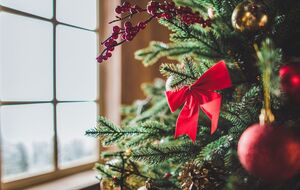 Перед установкой елки очистите ствол, срезав снизу около 10 см коры