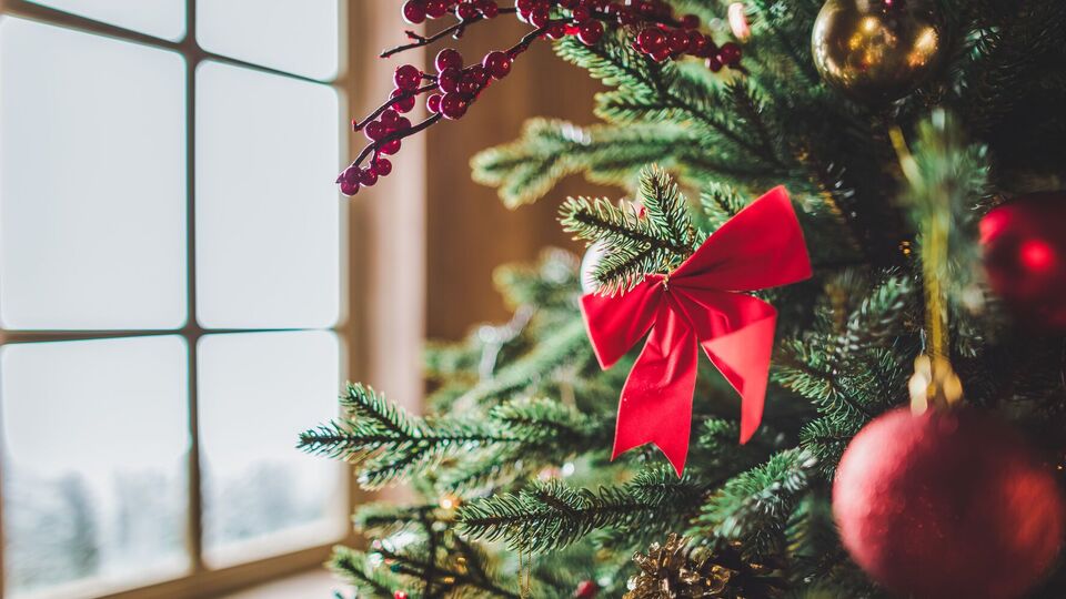 Перед установкой елки очистите ствол, срезав снизу около 10 см коры