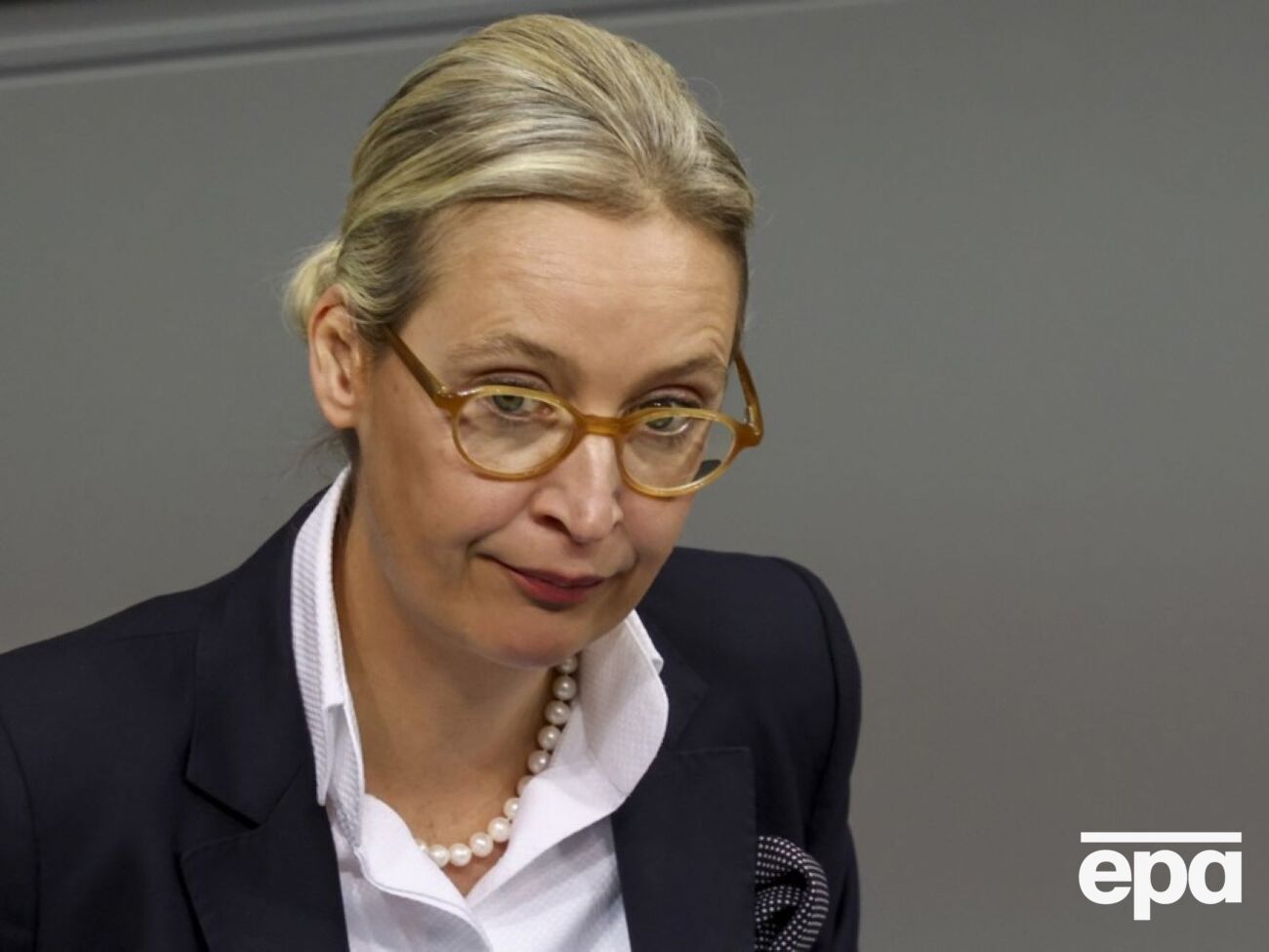 Вайдель хочет, чтобы ЕС был "сведен" к зоне свободной торговли "без бюрократии"