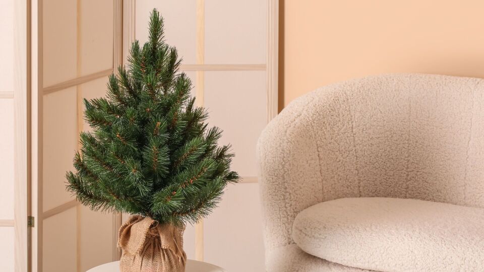 Елка в горшке может стоять в доме несколько недель