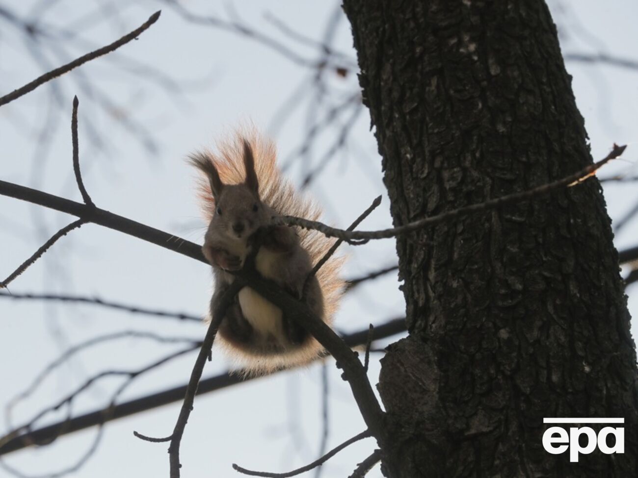 Мороз будет только в Карпатах