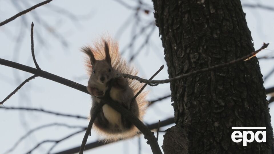 Мороз будет только в Карпатах