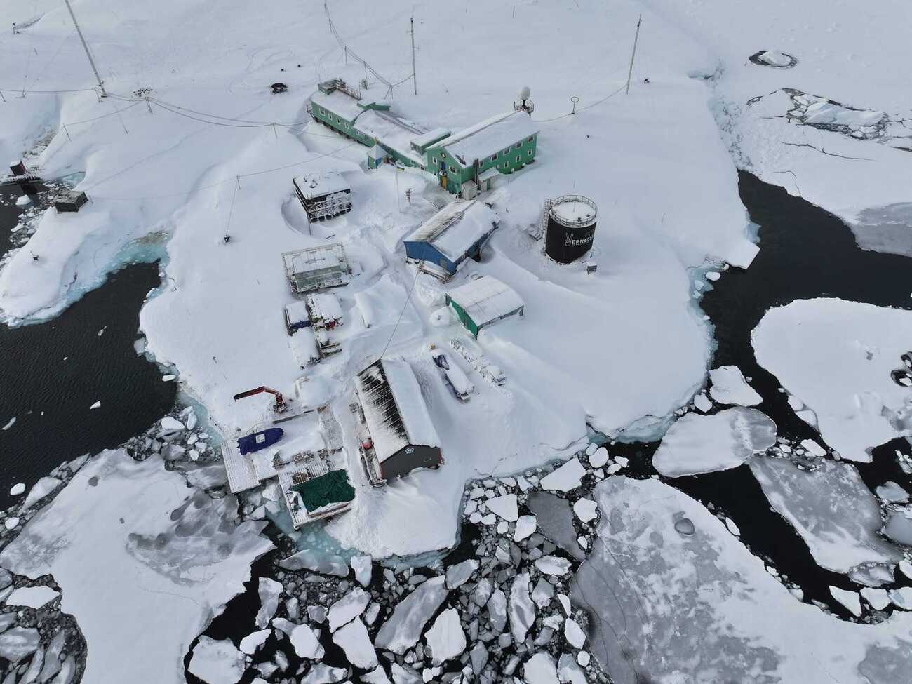 В Антарктиде сейчас лето