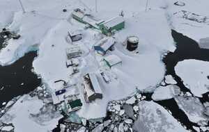 В Антарктиде сейчас лето