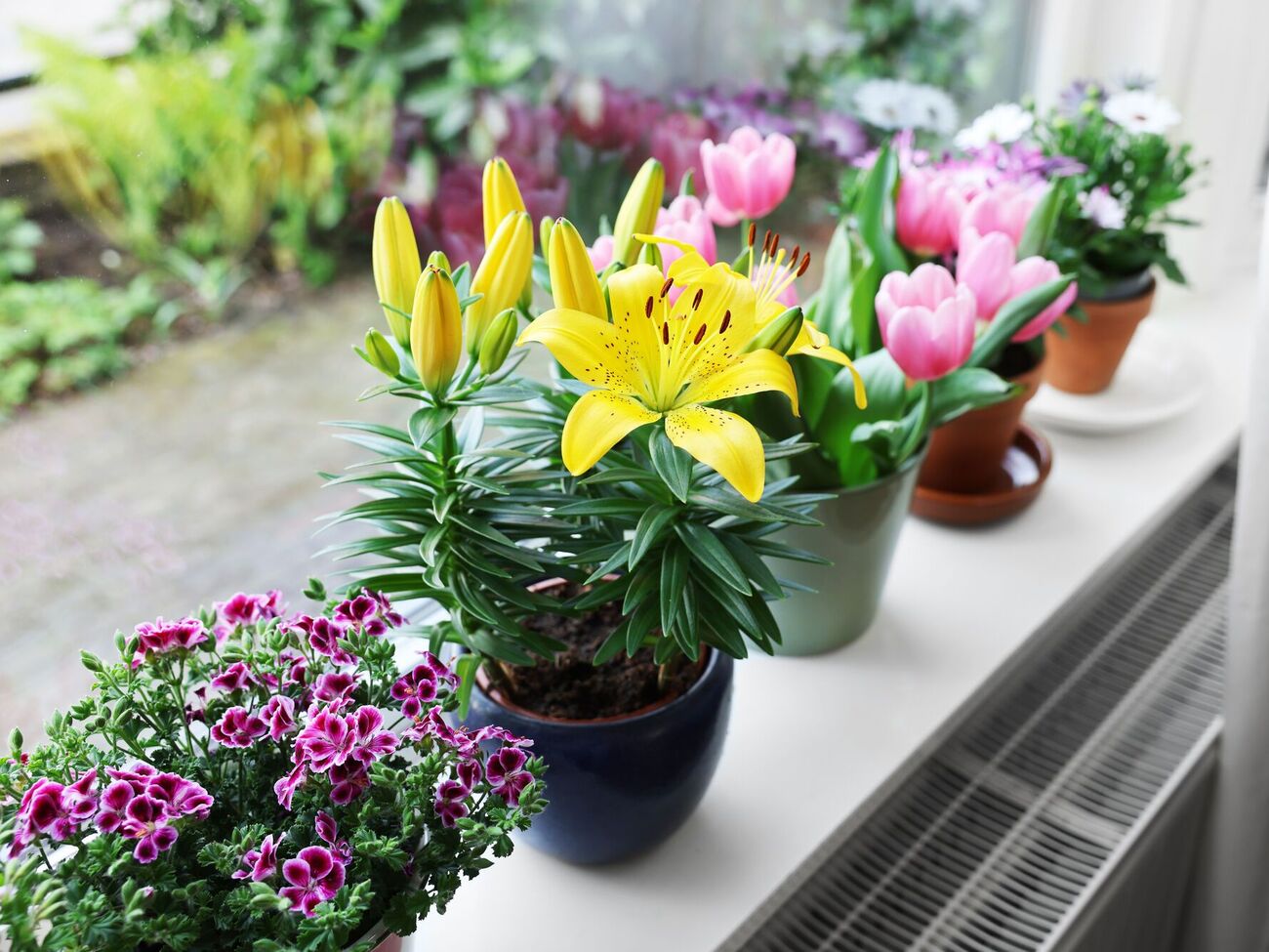 Смочите ткань из микрофибры в полироле и тщательно протрите им листья растений