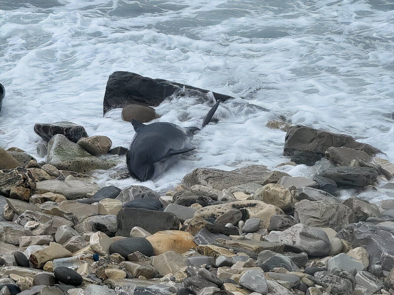 В результате аварии зафиксирована гибель как минимум 10 азовок