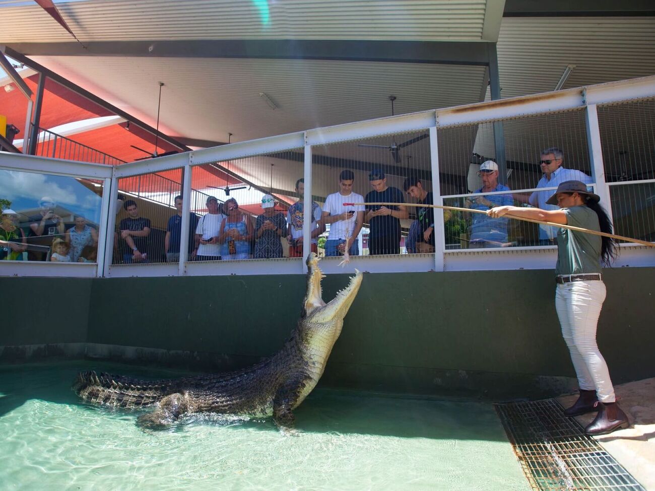 Хижаку, вага якого сягала 700 кг, було приблизно 90 років