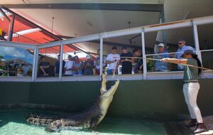 Хижаку, вага якого сягала 700 кг, було приблизно 90 років