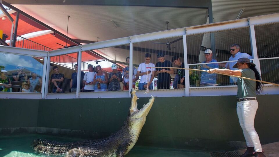 Хижаку, вага якого сягала 700 кг, було приблизно 90 років