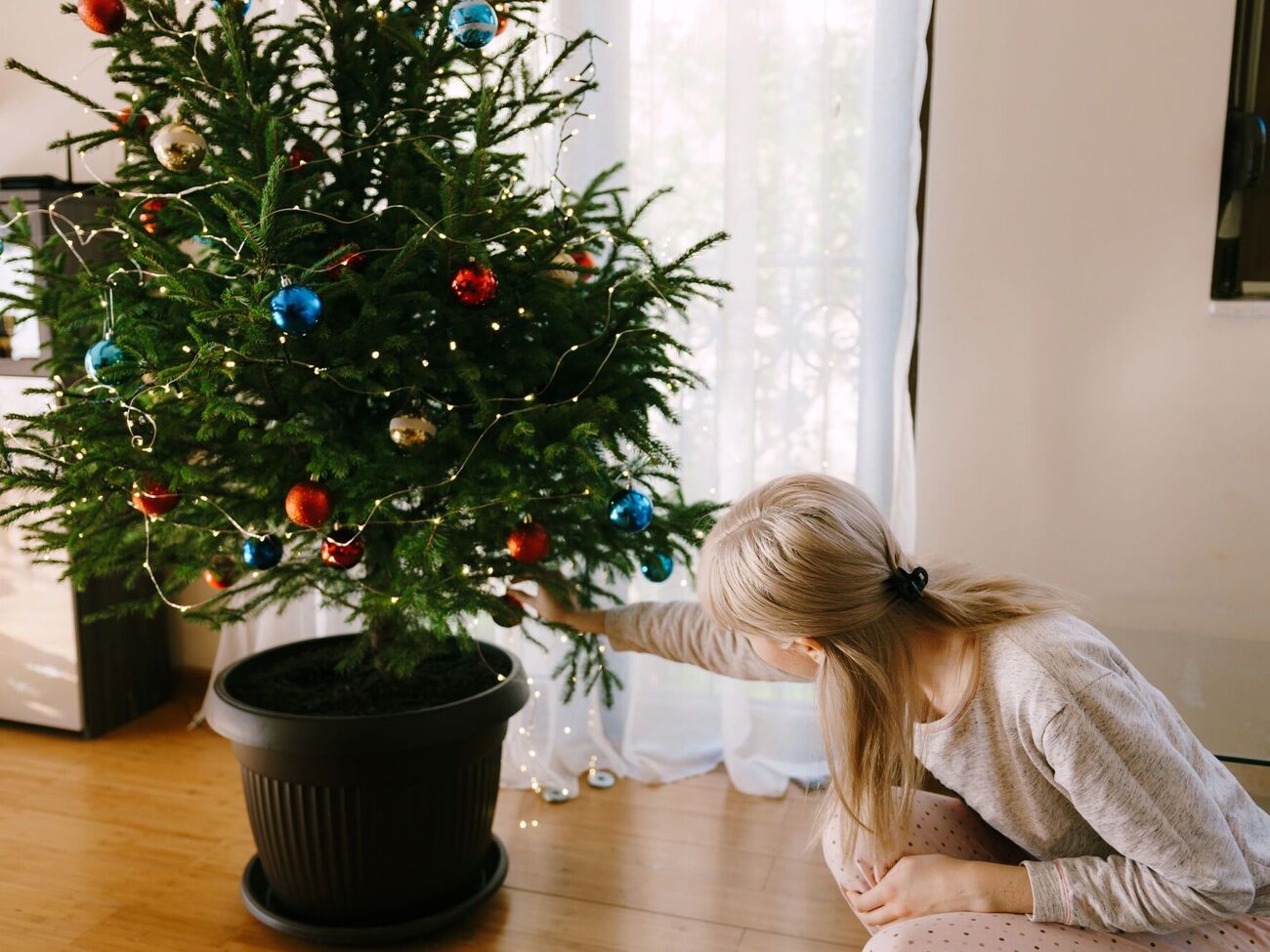Живую елку лучше не держать возле батареи