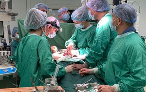 Трансплантации ожидают 3 тыс. пациентов, отметили в Минздраве