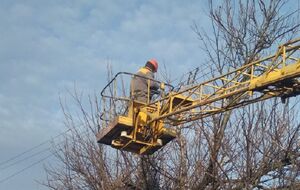 Энергетики получили государственные награды