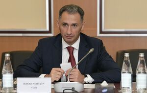 Обломки самолета на земле, а также показания свидетелей дают основание говорить, что имело место вмешательство извне, отметил Набиев