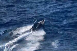 В июне в военной разведке Украины сообщали, что на MAGURA V5 уже устанавливают ракеты класса "воздух – воздух"