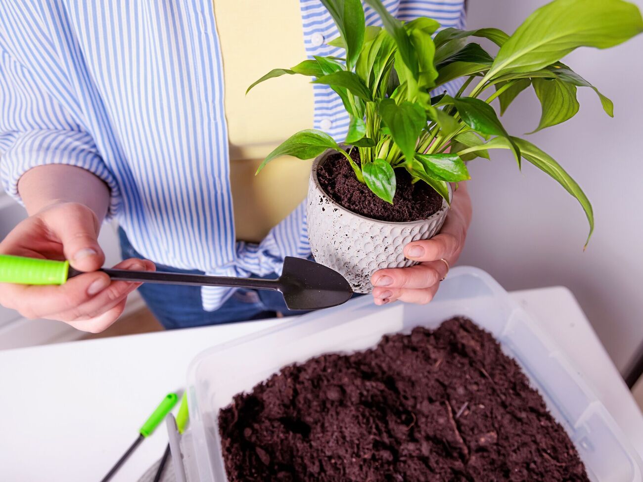 Разрыхлить грунт можно простыми действиями