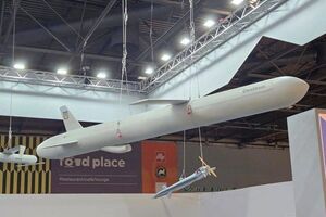 Нову ракету сили оборони вперше застосували по окупантах 24 серпня