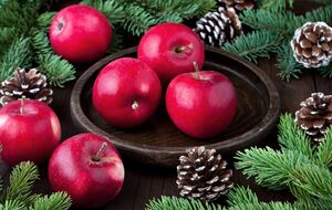 Кроме яблонь, яблоневая плодожорка поражает еще шесть деревьев