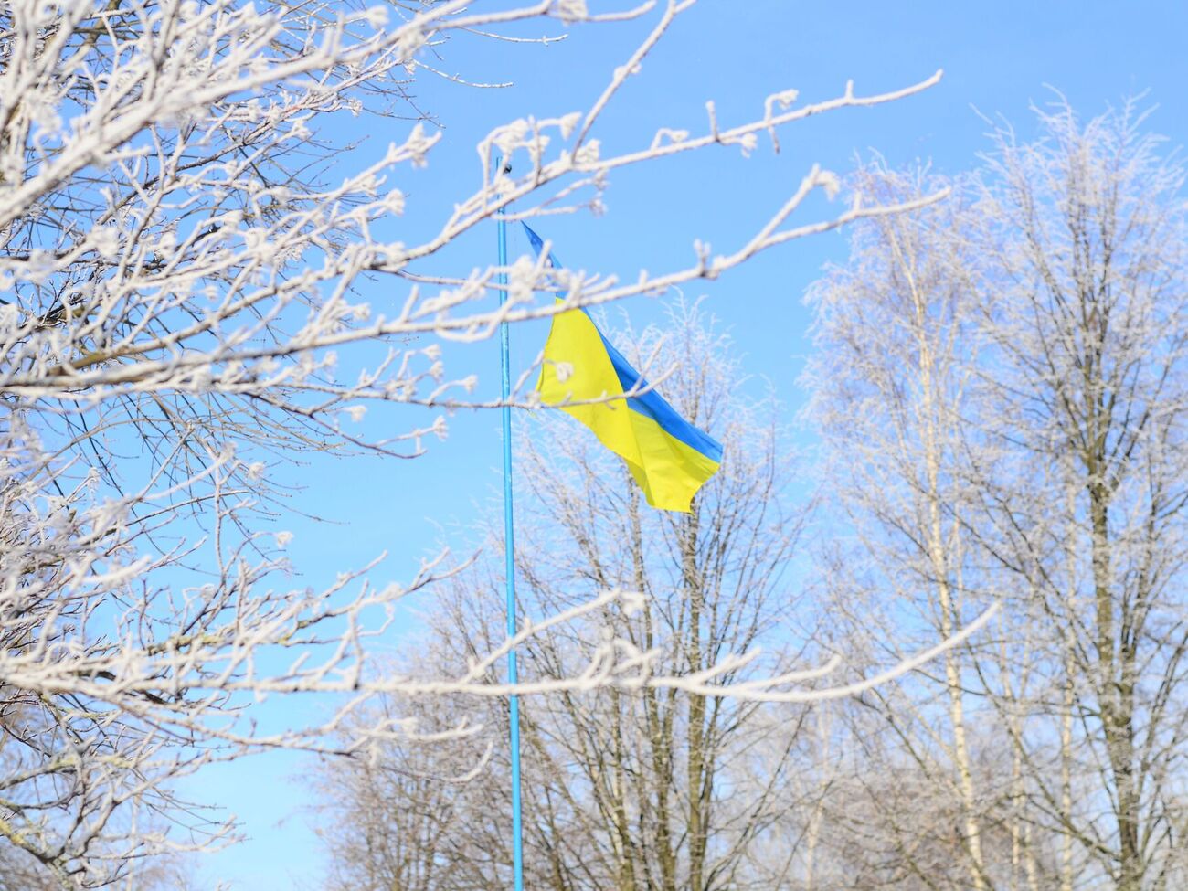 SCM, Фонд Рината Ахметова и ФК "Шахтер" помогают военным и гражданским