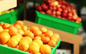 Мандарины являются основным экспортным товаром Абхазии