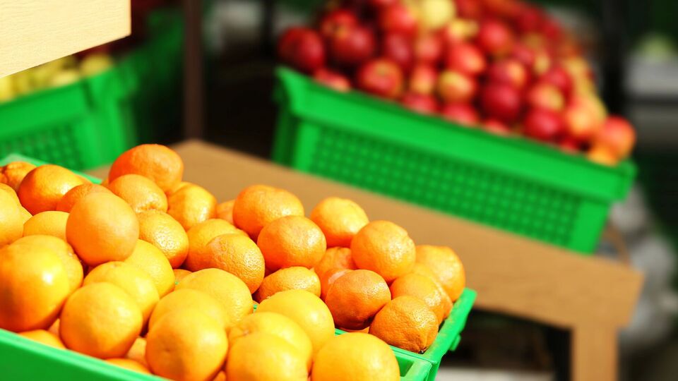 Мандарины являются основным экспортным товаром Абхазии