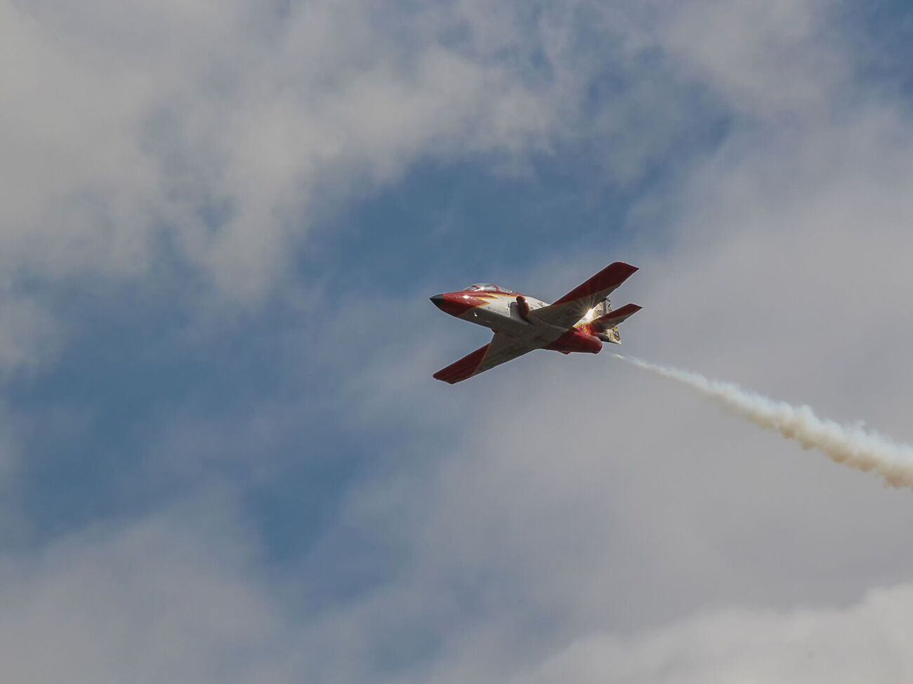 Стерв'ятник розбив лобове скло й повис мертвим над панеллю приладів перед пілотом