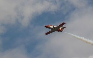 Стерв'ятник розбив лобове скло й повис мертвим над панеллю приладів перед пілотом