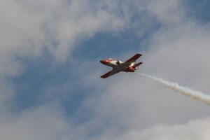 Стерв'ятник розбив лобове скло й повис мертвим над панеллю приладів перед пілотом