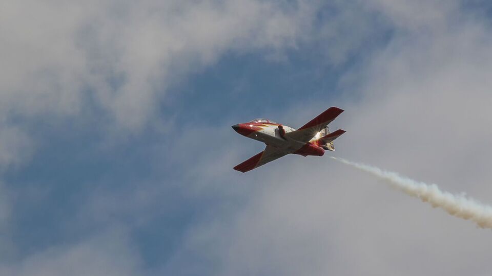 Стерв'ятник розбив лобове скло й повис мертвим над панеллю приладів перед пілотом