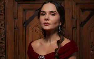 Лавренюк: Якщо нам доведеться йти до суду, то компанія-виробник до цього готова