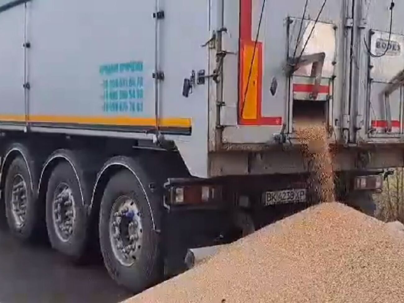 Протестующие собираются направить зерно на анализ, пишут польские СМИ