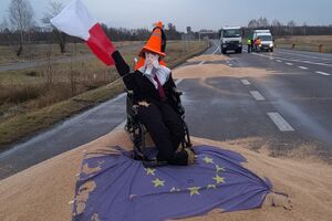 Українців розлютили дії польських мітингувальників