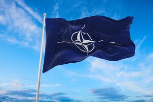 На саміті НАТО союзники дадуть сигнал Путіну про те, що вони "нікуди не подінуться", і далі підтримуючи Україну, зазначила амбасадорка